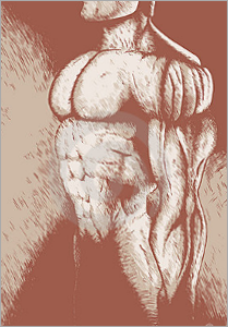 sketch-muscle-man-16149420